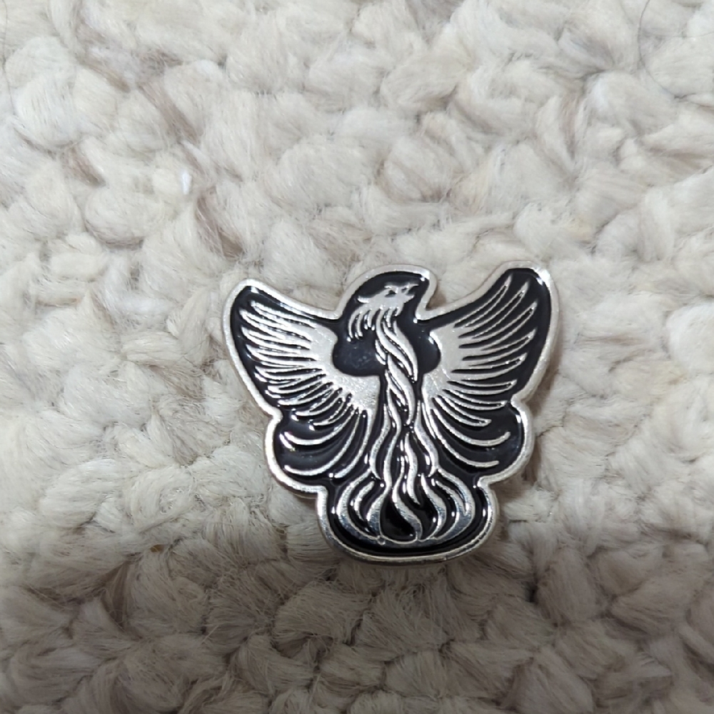 Silver and Black Bird Pin